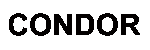 The Condor logo